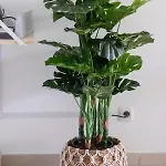 Atlantic Garden & Surf 166 Апартаменты